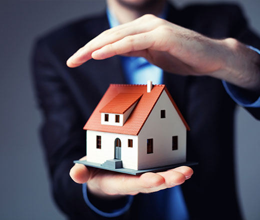 我们的专业团队